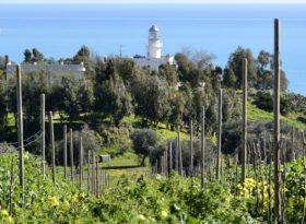 agriturismo a lanterna dove mangiare calabria