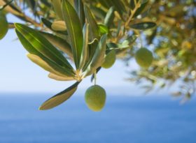 vita contadina calabria vacanza