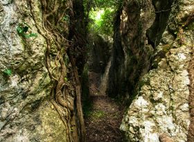 grotta di nardodipace 1